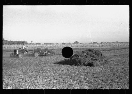 Untitled photo, possibly related to: Using a power rake on the alfalfa fields of Dawson County, Nebraska. Dawson County is the greatest alfalfa producing center in the world