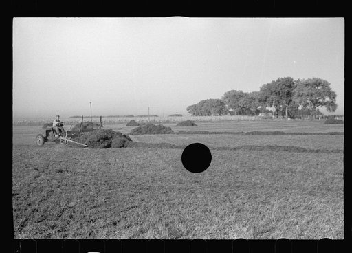 Untitled photo, possibly related to: Using a power rake on the alfalfa fields of Dawson County, Nebraska. Dawson County is the greatest alfalfa producing center in the world