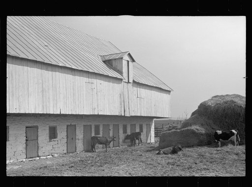 Old barn near Sharpsburg, Maryland
