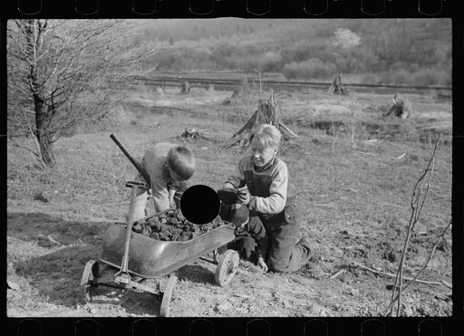 Untitled photo, possibly related to: Miner's sons bringing home coal which they have salvaged from slag pile.  Kempton, West Virginia