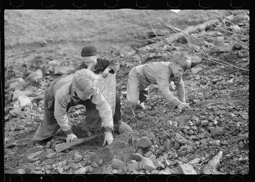 Miner's sons salvaging coal during May 1939 strike, Kempton, West Virginia
