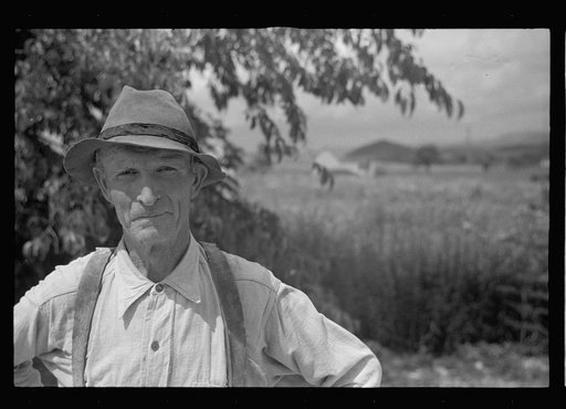 Homesteader, Tygart Valley Homesteads, West Virginia