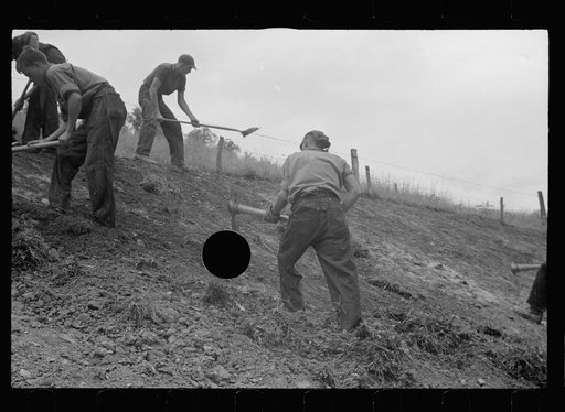 Untitled photo, possibly related to: CCC (Civilian Conservation Corps) boys working at Tygart Valley Homesteads, West Virginia