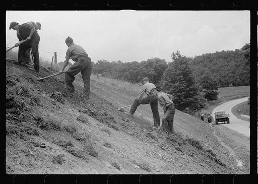 Untitled photo, possibly related to: CCC (Civilian Conservation Corps) boys working at Tygart Valley Homesteads, West Virginia