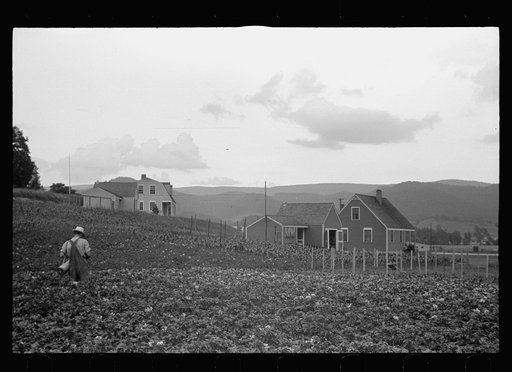 Tygart Valley Homesteads, West Virginia