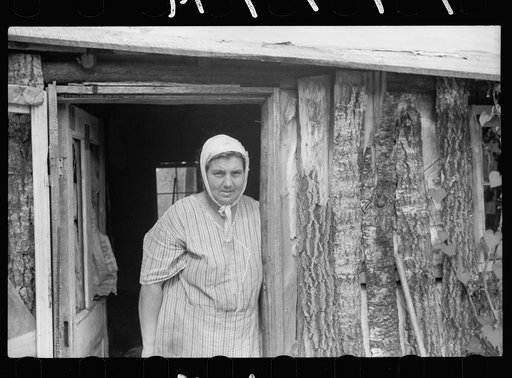Untitled photo, possibly related to: Mrs. Howard, who lives with her daughter in one-room cabin they built themselves, Aitkin County, Minnesota