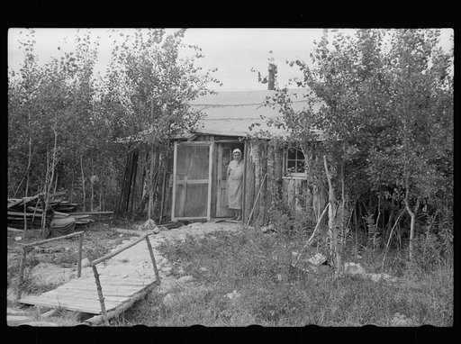 Untitled photo, possibly related to: Mrs. Howard, who lives with her daughter in one-room cabin they built themselves, Aitkin County, Minnesota
