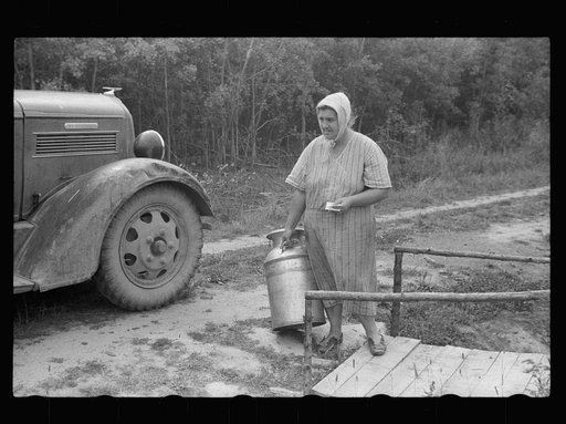 Untitled photo, possibly related to: Mrs. Howard, who lives with her daughter in one-room cabin they built themselves, Aitkin County, Minnesota