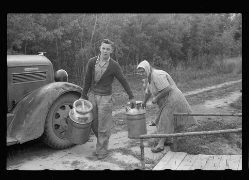 Untitled photo, possibly related to: Mrs. Howard, who lives with her daughter in one-room cabin they built themselves, Aitkin County, Minnesota