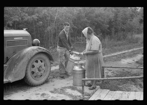 Truck driver picking up milk at Mrs. Howard's cut-over small farm. This is her main source of income. Aitkin County, Minnesota