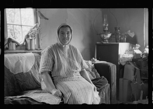 Untitled photo, possibly related to: Mrs. Howard, who lives with her daughter in one-room cabin they built themselves, Aitkin County, Minnesota