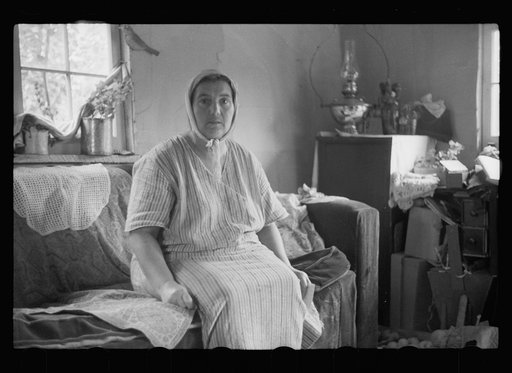 Untitled photo, possibly related to: Mrs. Howard, who lives with her daughter in one-room cabin they built themselves, Aitkin County, Minnesota
