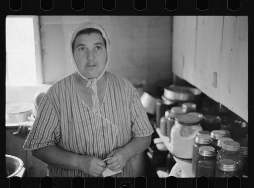 Untitled photo, possibly related to: Mrs. Howard, who lives with her daughter in one-room cabin they built themselves, Aitkin County, Minnesota