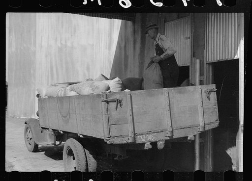 Unloading sacks of wheat at elevator, Minneapolis, Minnesota