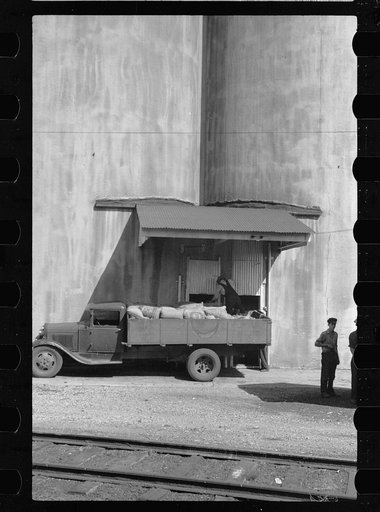 Truck unloading sacks of wheat at elevator. Most grain is delivered to city elevators by freight train. Minneapolis, Minnesota