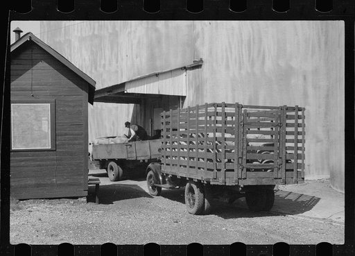 Trucks unloading sacks of wheat at elevator. Only a very small percent of grain comes in by truck to city elevators. Minneapolis, Minnesota