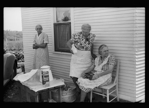 Untitled photo, possibly related to: Ladies serving lunch at auction near Tenstrike, Minnesota
