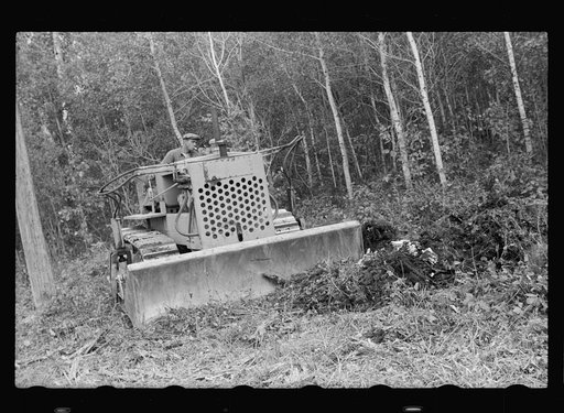 Untitled photo, possibly related to: Clearing land, Beltrami County, Minnesota