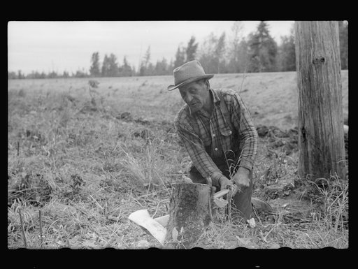 Untitled photo, possibly related to: Lumberjack, Minnesota