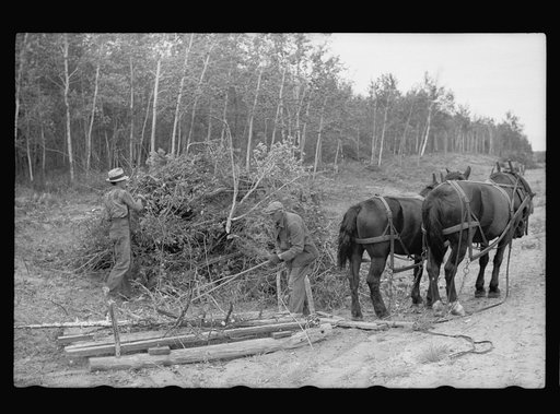 Untitled photo, possibly related to: Lumberjack, Minnesota