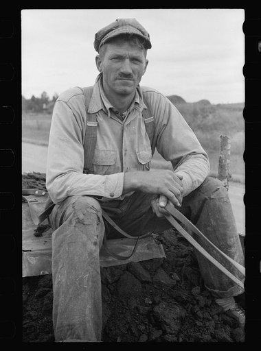 Cut-over farmer, Beltrami County, Minnesota