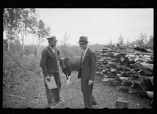Untitled photo, possibly related to: County supervisor visiting family of FSA (Farm Security Administration) rehabilitation borrower, Lake of the Woods County, Minnesota