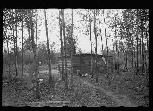 Untitled photo, possibly related to: County supervisor visiting family of FSA (Farm Security Administration) rehabilitation borrower, Lake of the Woods County, Minnesota