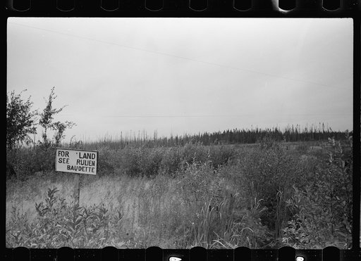 Farmland for sale, Beltrami County, Minnesota