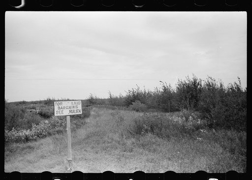 Farmland for sale, Beltrami County, Minnesota