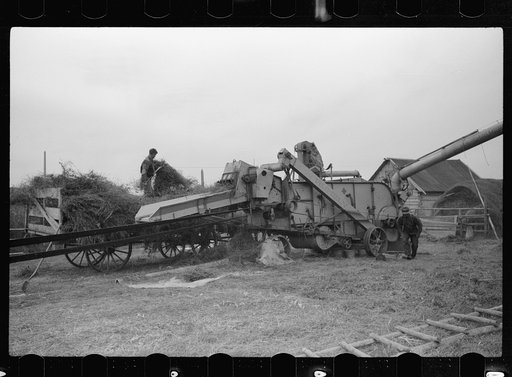 Untitled photo, possibly related to: Threshing alfalfa seed to be marketed at farmers' coop seed exchange, Minnesota