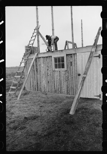 Untitled photo, possibly related to: Farmer and son, rehabilitation clients, building barn which FSA (Farm Security Administration) loan enables them to build, Lake of the Woods County, Minnesota