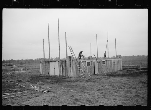 Untitled photo, possibly related to: Farmer and son, rehabilitation clients, building barn which FSA (Farm Security Administration) loan enables them to build, Lake of the Woods County, Minnesota