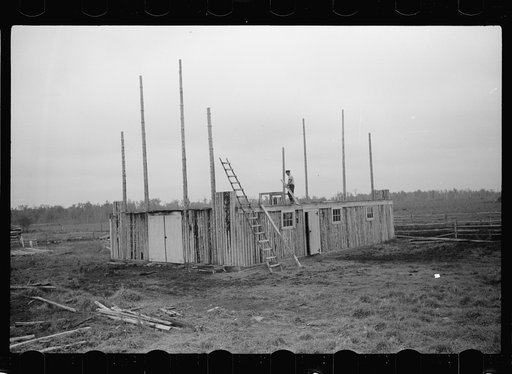 Untitled photo, possibly related to: Farmer and son, rehabilitation clients, building barn which FSA (Farm Security Administration) loan enables them to build, Lake of the Woods County, Minnesota
