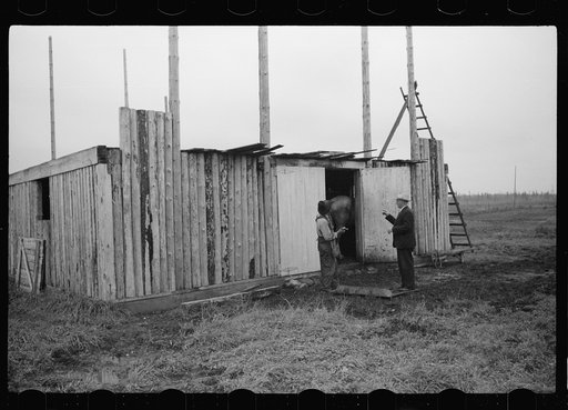 Untitled photo, possibly related to: Farmer and son, rehabilitation clients, building barn which FSA (Farm Security Administration) loan enables them to build, Lake of the Woods County, Minnesota