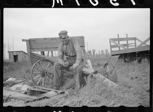 Untitled photo, possibly related to: Farmer and son, rehabilitation clients, building barn which FSA (Farm Security Administration) loan enables them to build, Lake of the Woods County, Minnesota