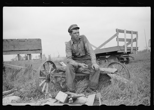 Farm boy of Minnesota cut-over land, Lake of the Woods County, Minnesota