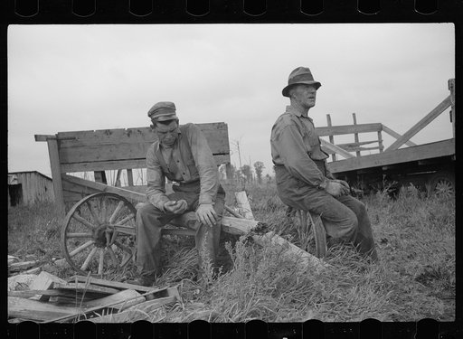 Untitled photo, possibly related to: Farm boy of Minnesota cut-over land, Lake of the Woods County, Minnesota