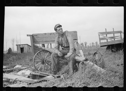 Untitled photo, possibly related to: Farm boy of Minnesota cut-over land, Lake of the Woods County, Minnesota
