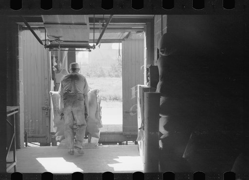Untitled photo, possibly related to: Loading freight car with sacks of flour, Minneapolis, Minnesota