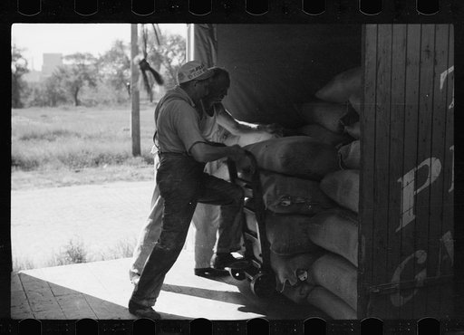 Untitled photo, possibly related to: Loading freight car with sacks of flour, Minneapolis, Minnesota