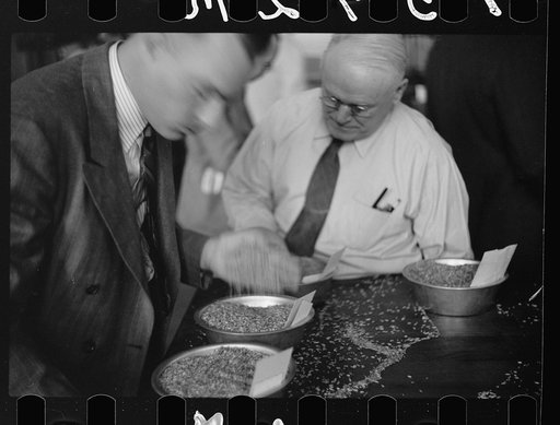 Untitled photo, possibly related to: Buyer examining oat samples at open market, Minneapolis Grain Exchange, Minnesota