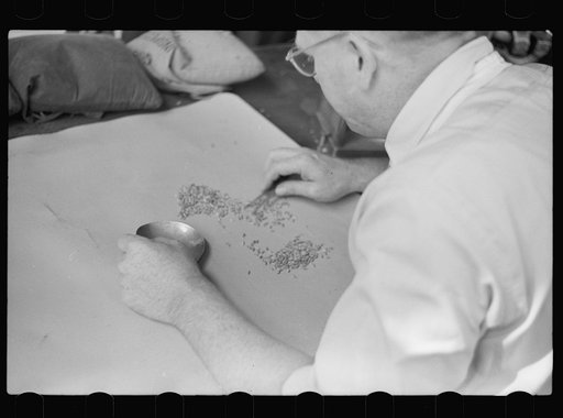 Untitled photo, possibly related to: Testing for impurities in wheat at Minnesota grain inspection dept., Minneapolis, Minnesota