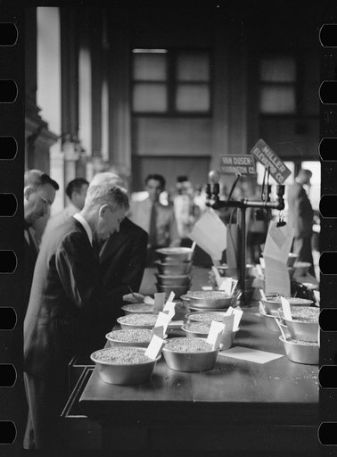 Untitled photo, possibly related to: Buyer examining sample of oats at open market, Minneapolis Grain Exchange, Minnesota