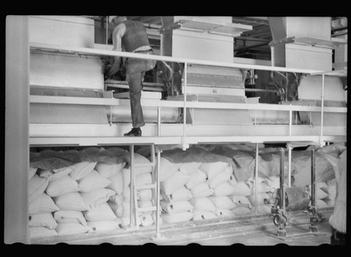 Untitled photo, possibly related to: Packing flour at Pillsbury mill, Minneapolis, Minnesota
