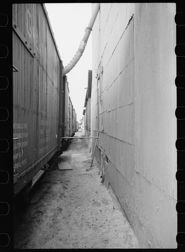 Loading car with wheat at country grain elevator, Litchfield, Minnesota