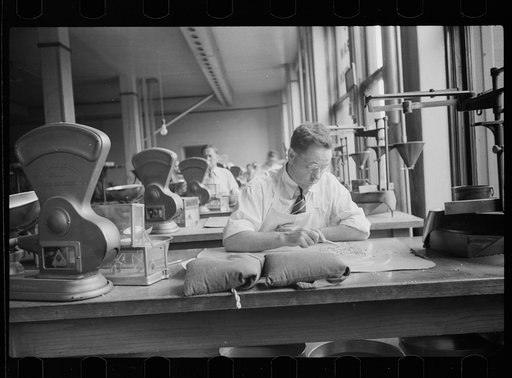 Licensed grain inspector testing wheat for impurities, Minneapolis, Minnesota