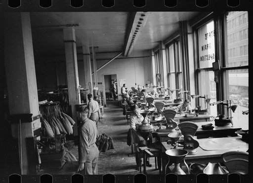 Untitled photo, possibly related to: Licensed grain inspector testing wheat for impurities, Minneapolis, Minnesota