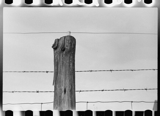 Electrified barbed wire fence, Louisa County, Virginia