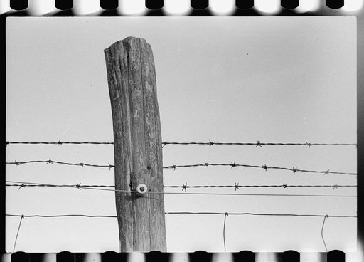 Untitled photo, possibly related to: Electrified barbed wire fence, Louisa County, Virginia