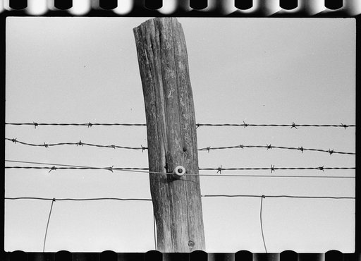 Untitled photo, possibly related to: Electrified barbed wire fence, Louisa County, Virginia
